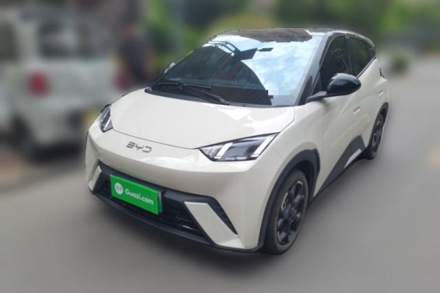 Used BYD Seagull 2024 Honor Edition 305km Freedom Version