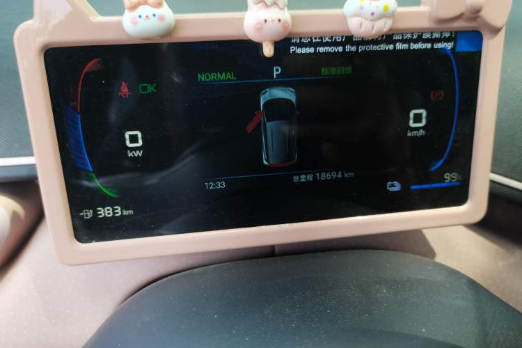 Used BYD Seagull 2024 Honor Edition 405km Flying Version Odometer Close Up