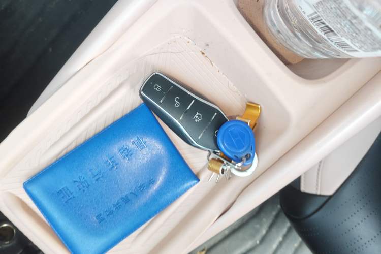 Used BYD Seagull 2024 Honor Edition 305km Freedom Version Vehicle Key
