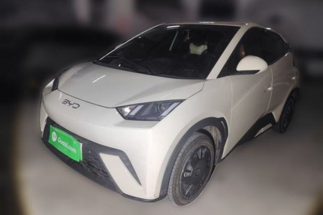 BYD Seagull 2024 Honor Edition 305km Dynamic Version usado