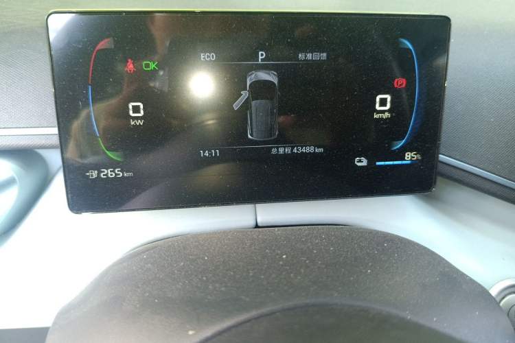 Used BYD Seagull 2024 Honor Edition 305km Freedom Version Odometer Close Up