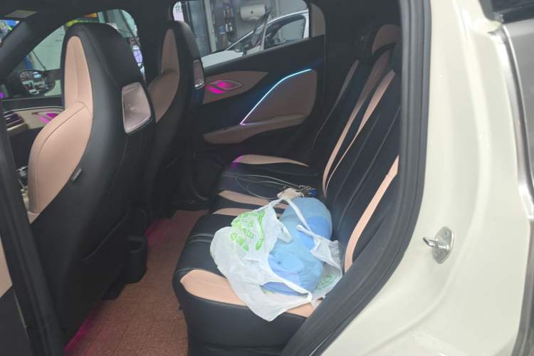 Used BYD Seagull 2024 Honor Edition 405km Flying Version Left Rear Seat