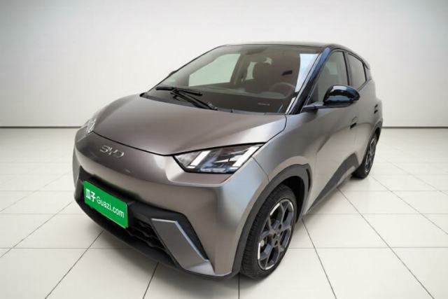 BYD Seagull 2024 Honor Edition 305km Freedom Version usado
