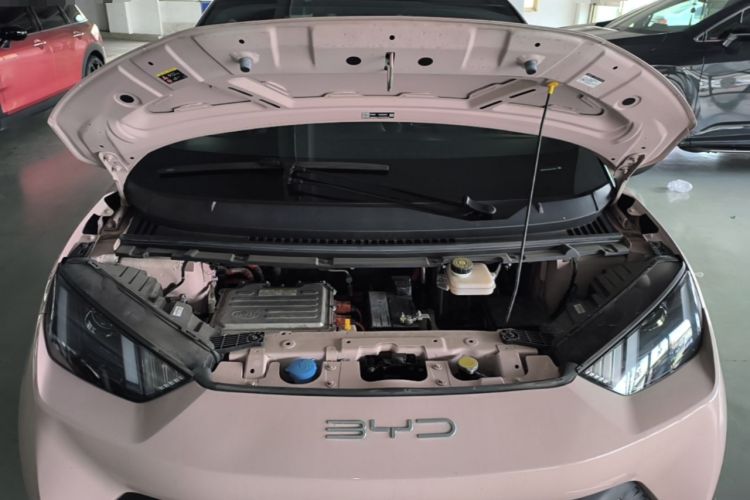 Used BYD Seagull 2024 Honor Edition 305km Dynamic Version Engine Bay