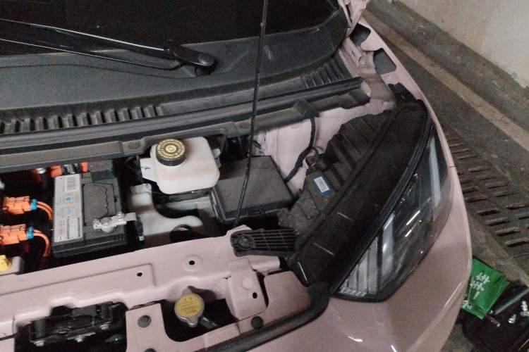 Used BYD Seagull 2024 Honor Edition 305km Dynamic Version Engine Bay Left