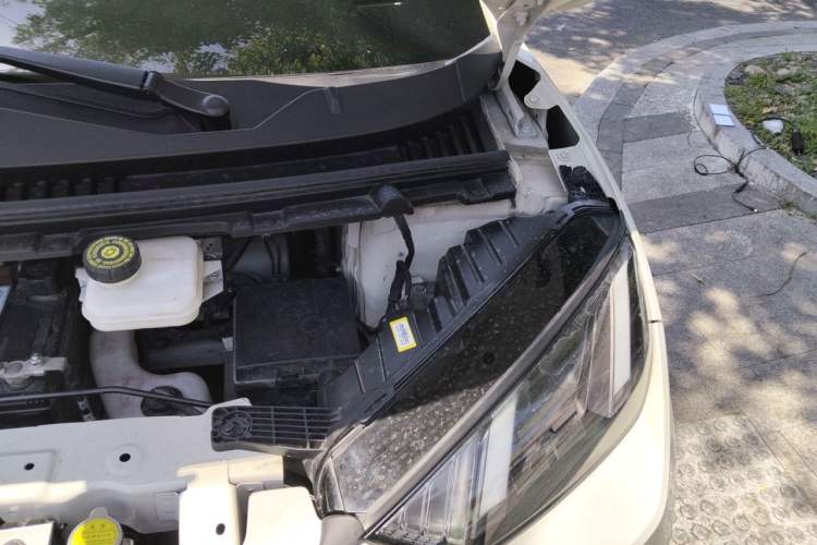 Used BYD Seagull 2024 Honor Edition 305km Freedom Version Engine Bay Left