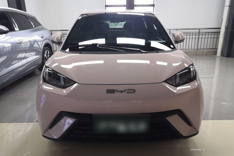 Used BYD Seagull 2024 Honor Edition 305km Dynamic Version Exterior 1