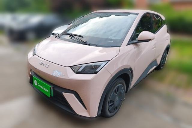 Used BYD Seagull 2024 Honor Edition 305km Dynamic Version