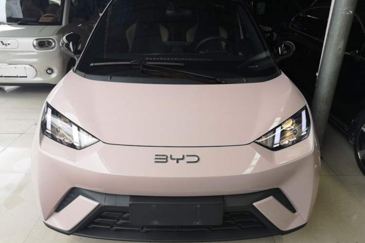 Used BYD Seagull 2024 Honor Edition 305km Dynamic Version Front