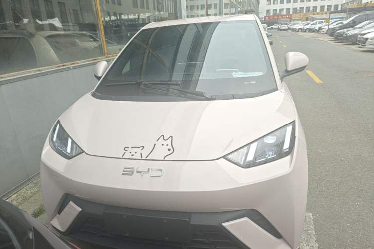 Used BYD Seagull 2024 Honor Edition 305km Freedom Version Front