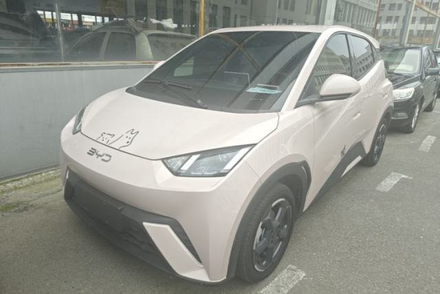 Used BYD Seagull 2024 Honor Edition 305km Freedom Version