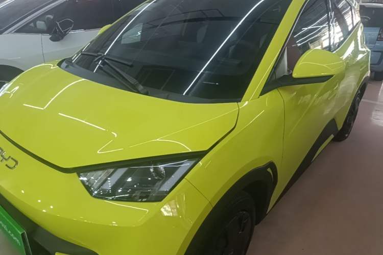 BYD Seagull 2024 Honor Edition 305km Dynamic Version