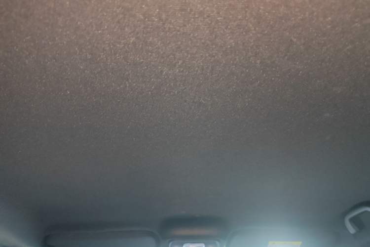 Used BYD Seagull 2024 Honor Edition 305km Freedom Version Headliner
