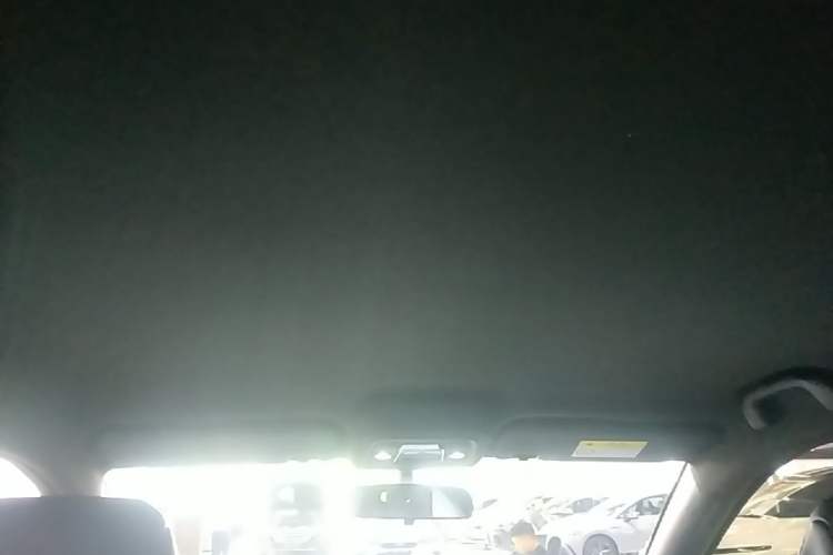 Used BYD Seagull 2024 Honor Edition 305km Dynamic Version Headliner