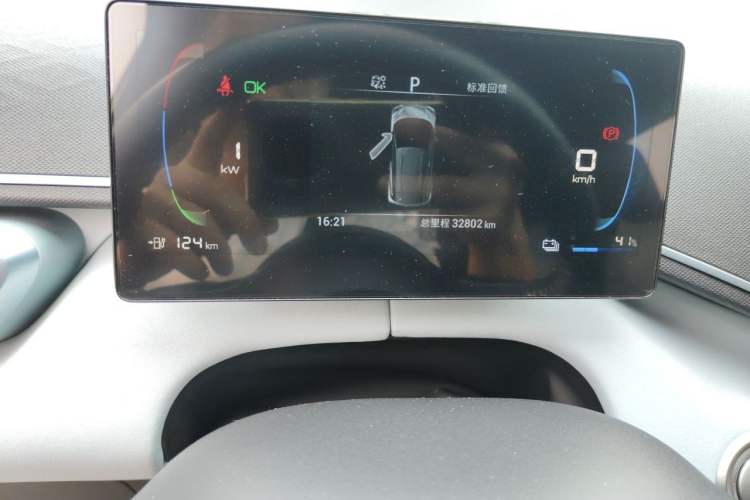 Used BYD Seagull 2024 Honor Edition 305km Freedom Version Odometer Close Up