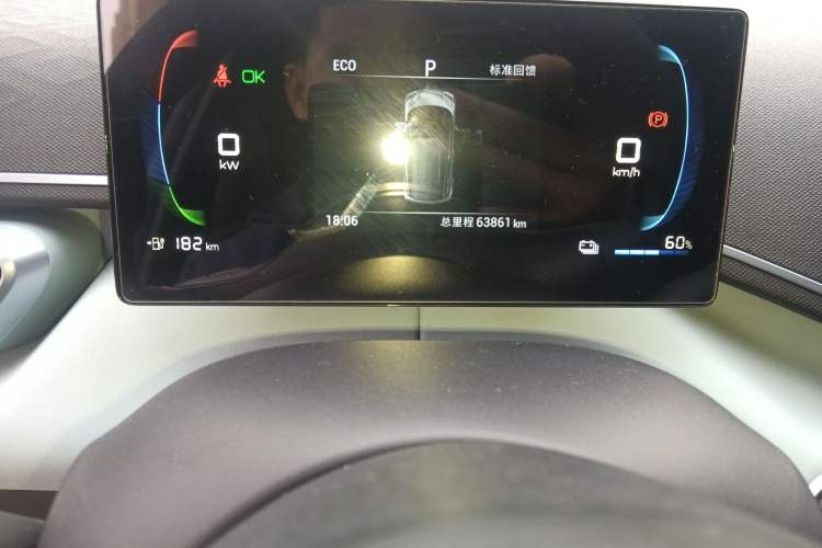 Used BYD Seagull 2024 Honor Edition 305km Dynamic Version Odometer Close Up
