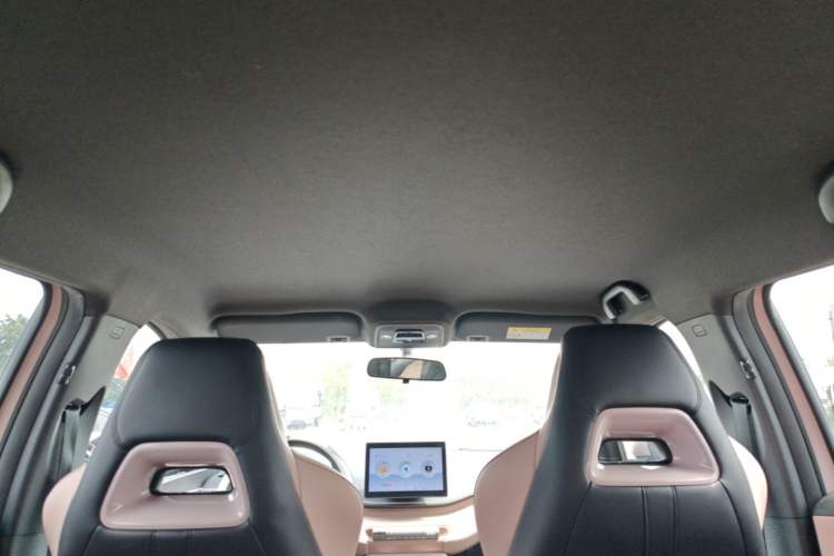 Used BYD Seagull 2024 Honor Edition 305km Dynamic Version Headliner