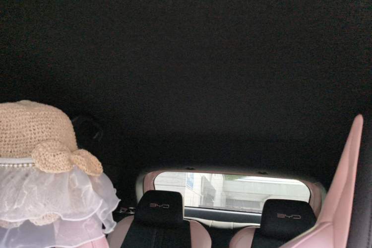 Used BYD Seagull 2024 Honor Edition 305km Freedom Version Headliner