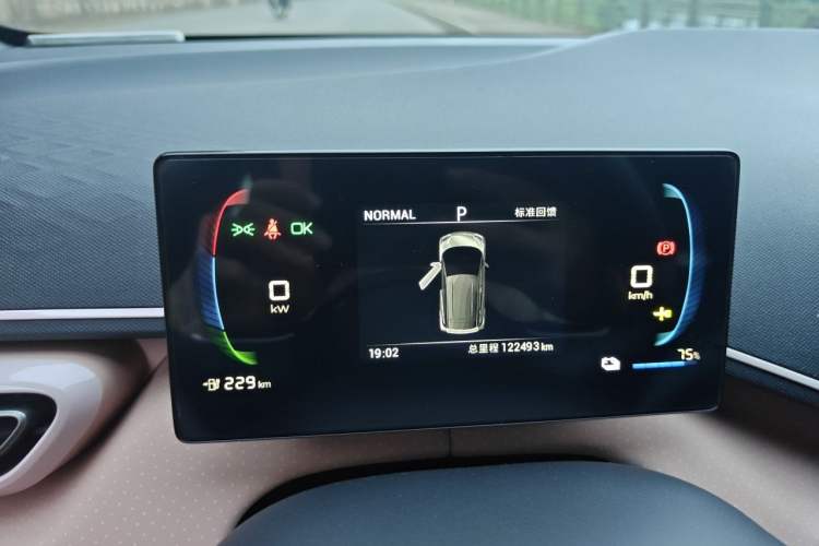 Used BYD Seagull 2024 Honor Edition 305km Dynamic Version Instrument Cluster