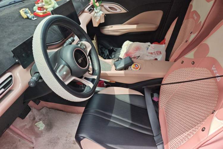 Used BYD Seagull 2024 Honor Edition 405km Flying Version Left Front Seat