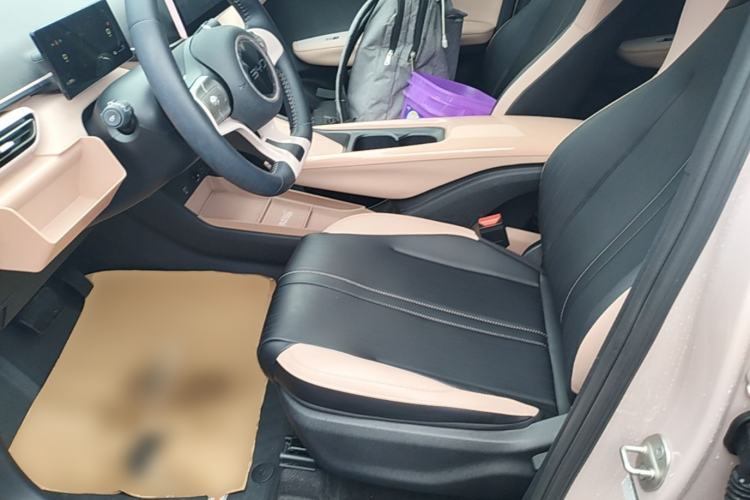 Used BYD Seagull 2024 Honor Edition 305km Freedom Version Left Front Seat