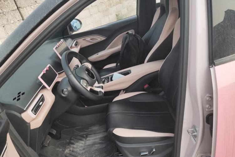 Used BYD Seagull 2024 Honor Edition 305km Freedom Version Left Front Seat