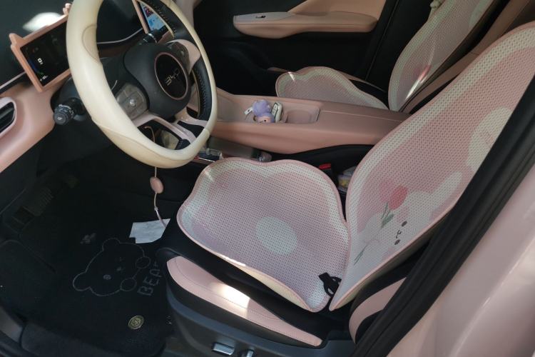 Used BYD Seagull 2024 Honor Edition 405km Flying Version Left Front Seat