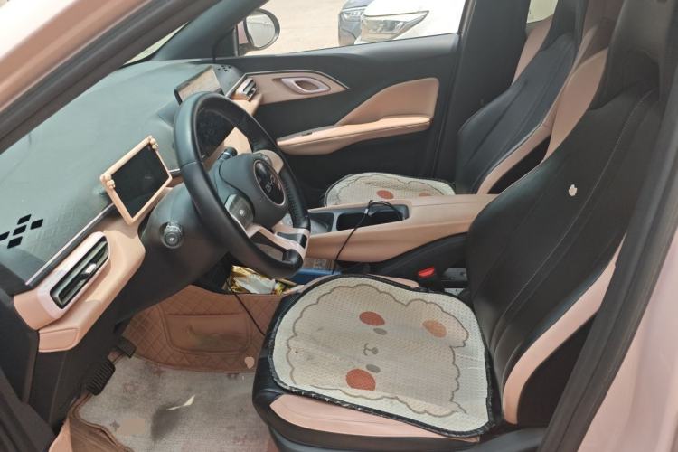 Used BYD Seagull 2024 Honor Edition 305km Freedom Version Left Front Seat