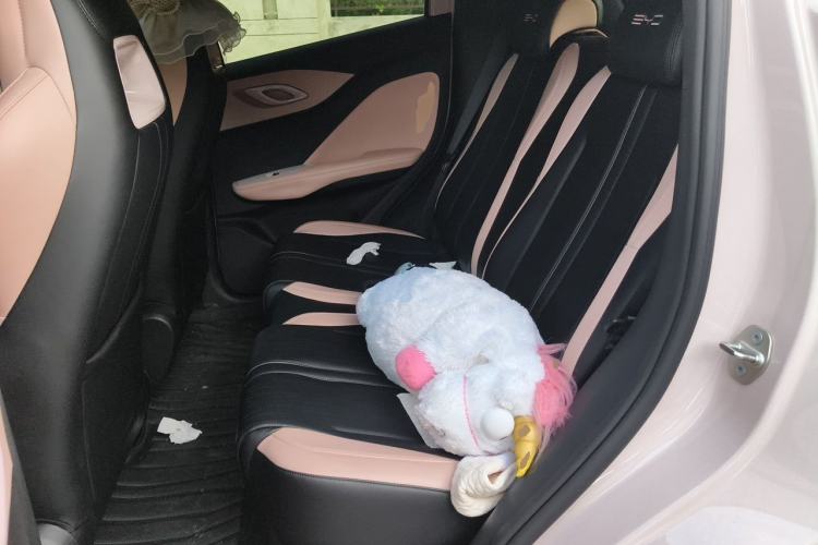 Used BYD Seagull 2024 Honor Edition 305km Freedom Version Left Rear Seat