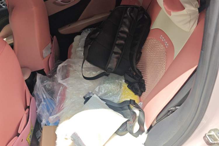 Used BYD Seagull 2024 Honor Edition 405km Flying Version Left Rear Seat