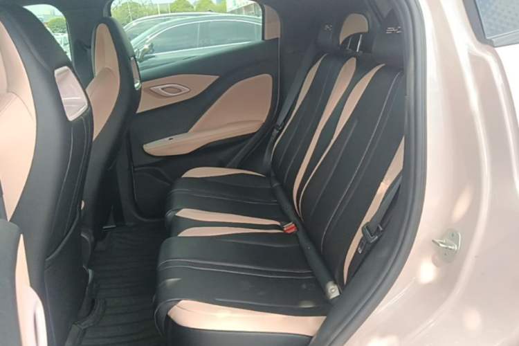 Used BYD Seagull 2024 Honor Edition 305km Freedom Version Left Rear Seat
