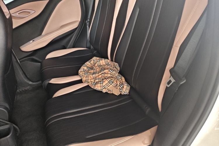 Used BYD Seagull 2024 Honor Edition 405km Flying Version Left Rear Seat