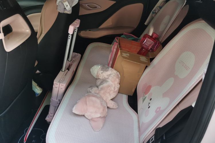 Used BYD Seagull 2024 Honor Edition 405km Flying Version Left Rear Seat