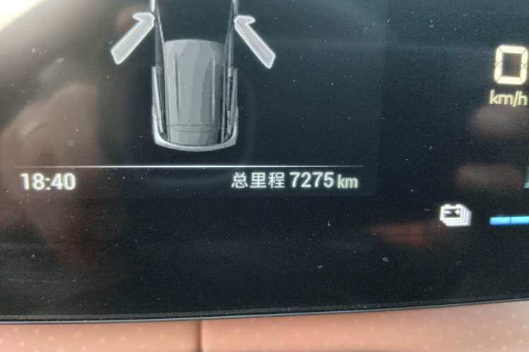 Used BYD Seagull 2024 Honor Edition 305km Freedom Version Odometer Close Up