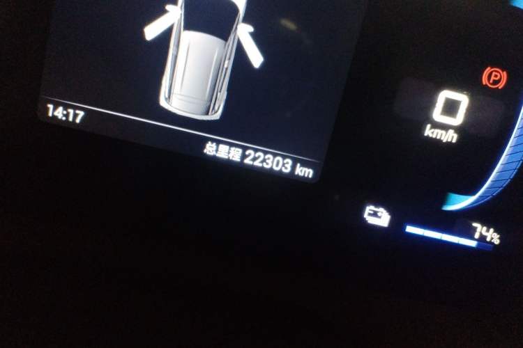 Used BYD Seagull 2024 Honor Edition 305km Dynamic Version Odometer Close Up