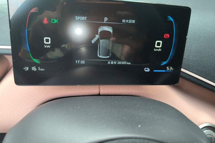 Used BYD Seagull 2024 Honor Edition 305km Dynamic Version Odometer Close Up