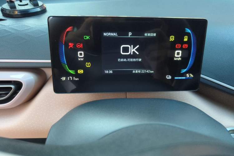 Used BYD Seagull 2024 Honor Edition 305km Dynamic Version Odometer Close Up