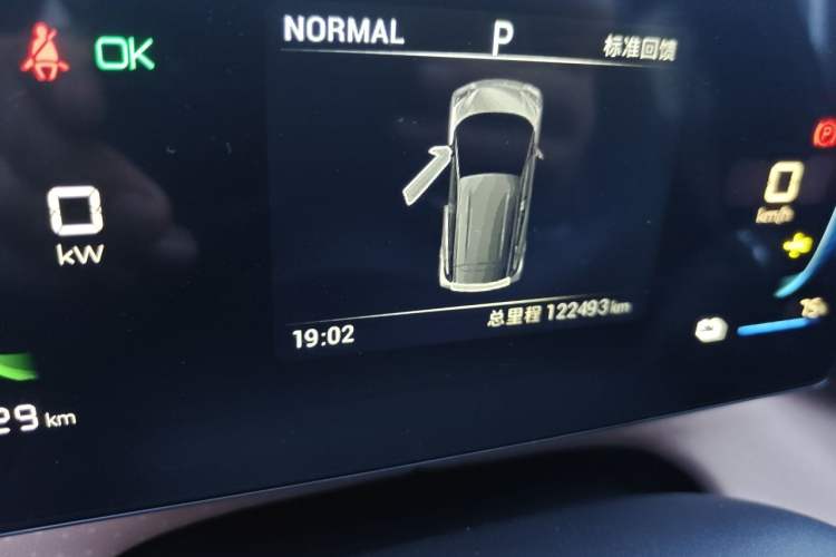 Used BYD Seagull 2024 Honor Edition 305km Dynamic Version Odometer Close Up
