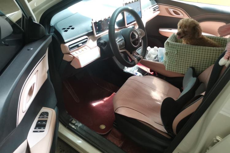 Used BYD Seagull 2024 Honor Edition 305km Dynamic Version Driver Seat