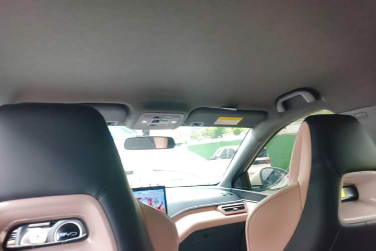 Used BYD Seagull 2024 Honor Edition 305km Freedom Version Headliner