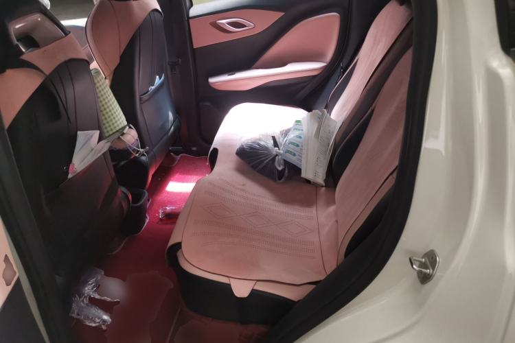 Used BYD Seagull 2024 Honor Edition 305km Dynamic Version Left Rear Seat