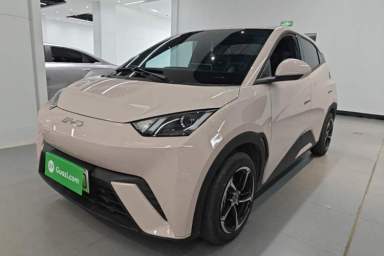 Used BYD Seagull 2024 Honor Edition 305km Dynamic Version