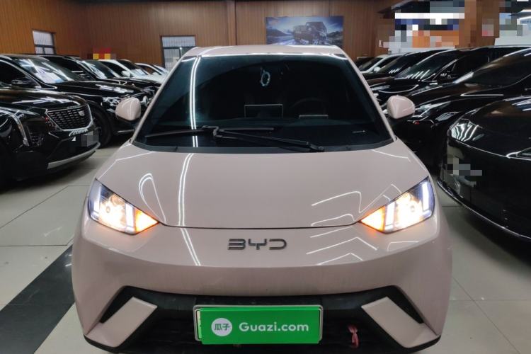Used BYD Seagull 2024 Honor Edition 305km Dynamic Version Exterior 1