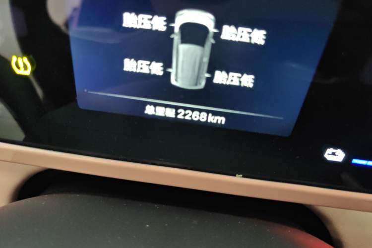 Used BYD Seagull 2024 Honor Edition 305km Dynamic Version Odometer Close Up