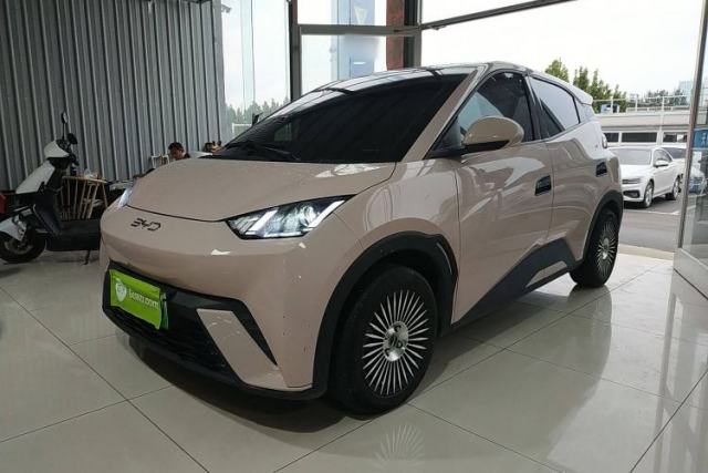 BYD Seagull 2024 Honor Edition 305km Dynamic Version de segunda mano