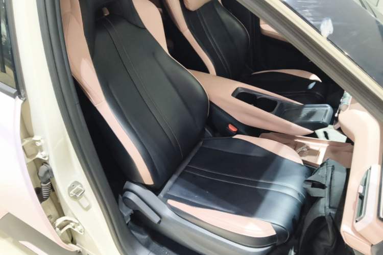 Used BYD Seagull 2024 Honor Edition 305km Freedom Version Right Front Seat