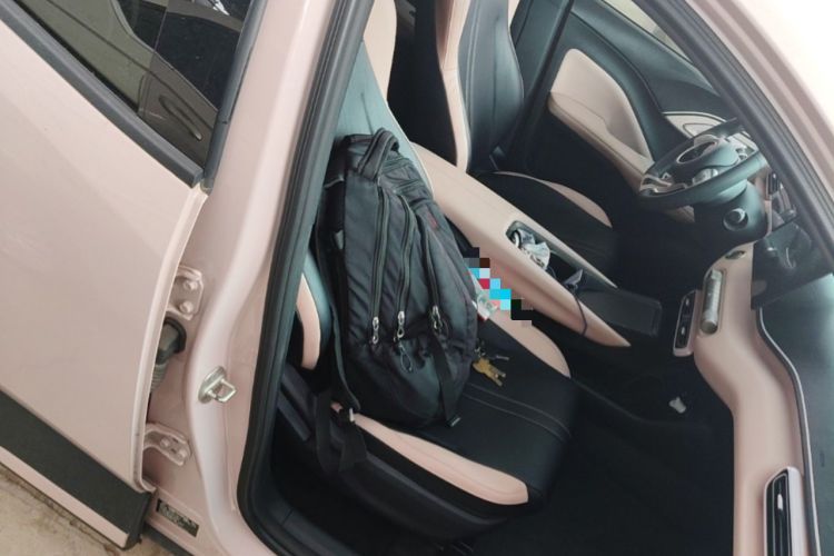 Used BYD Seagull 2024 Honor Edition 305km Dynamic Version Right Front Seat