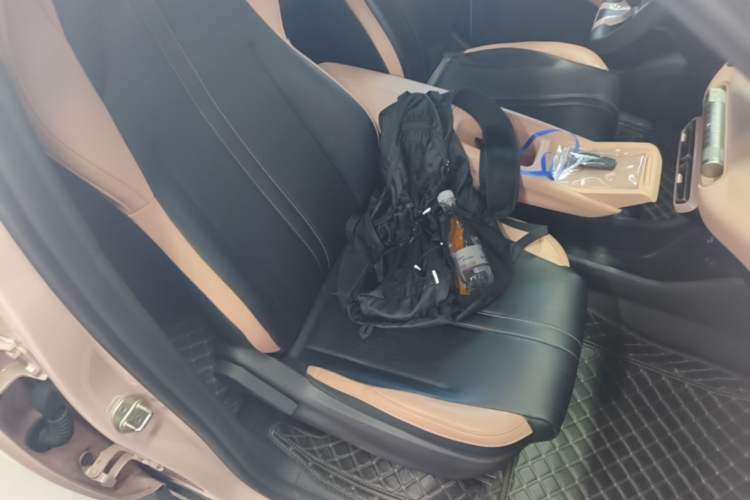 Used BYD Seagull 2024 Honor Edition 305km Dynamic Version Right Front Seat