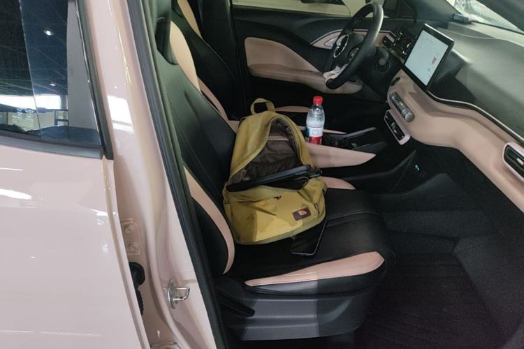 Used BYD Seagull 2024 Honor Edition 305km Freedom Version Right Front Seat