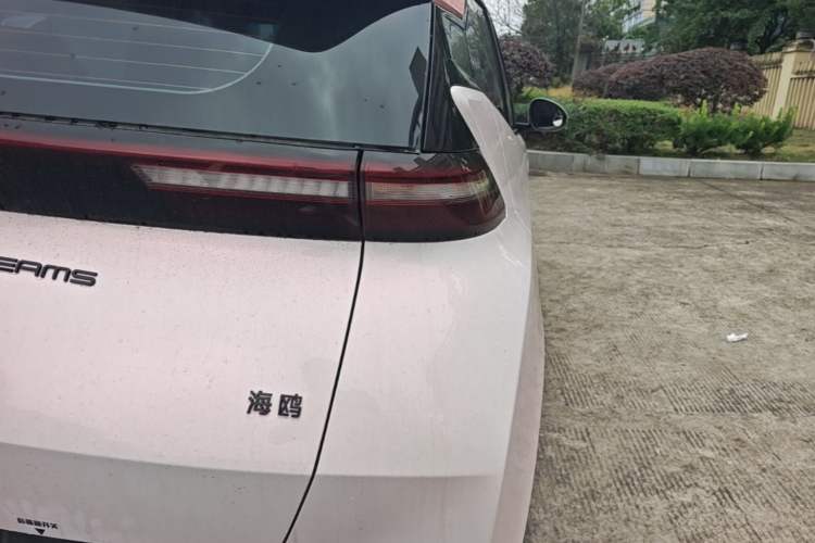 Used BYD Seagull 2024 Honor Edition 305km Dynamic Version Right Rear Taillight